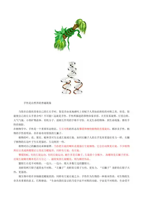 手性是自然界的普遍现象