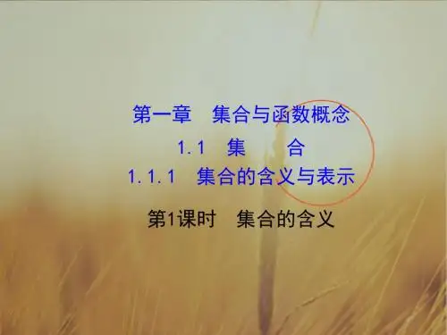 2017年秋高中数学必修一 课件_1-1集合1-1-1-1 课件 精