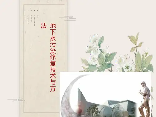 地下水污染修复