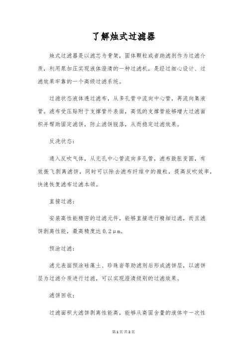 了解烛式过滤器