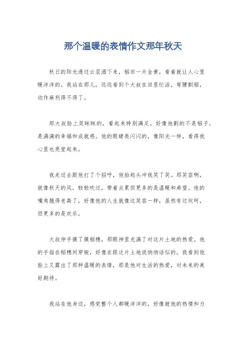 那个温暖的表情作文那年秋天