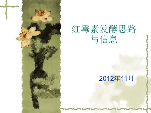 红霉素发酵思路与信息