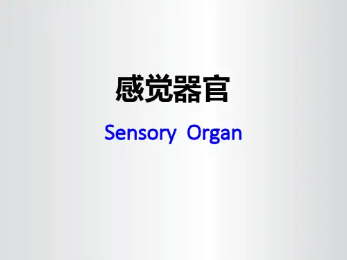 系统解剖学：第12章 视器 和 第13章 前庭蜗器