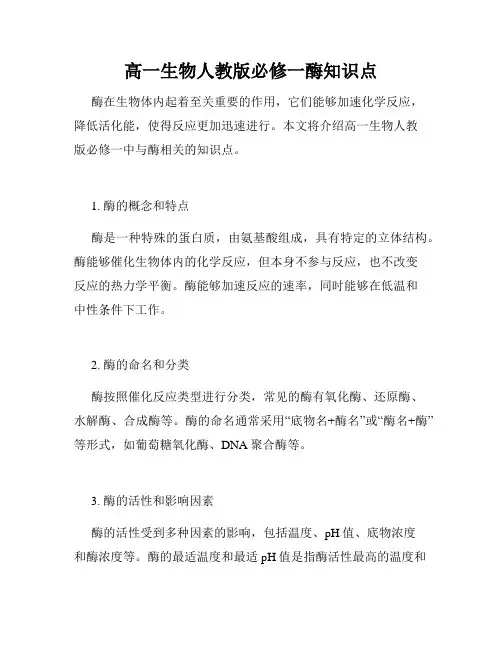 高一生物人教版必修一酶知识点