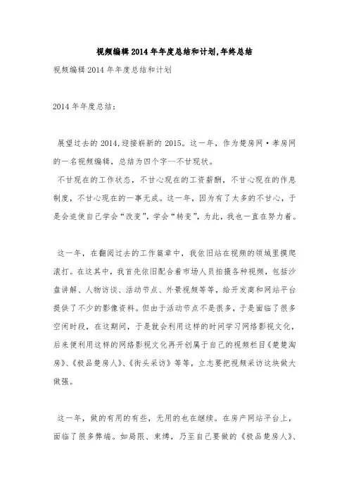 视频编辑2014年年度总结和计划,年终总结