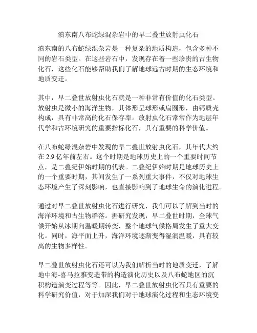 滇东南八布蛇绿混杂岩中的早二叠世放射虫化石