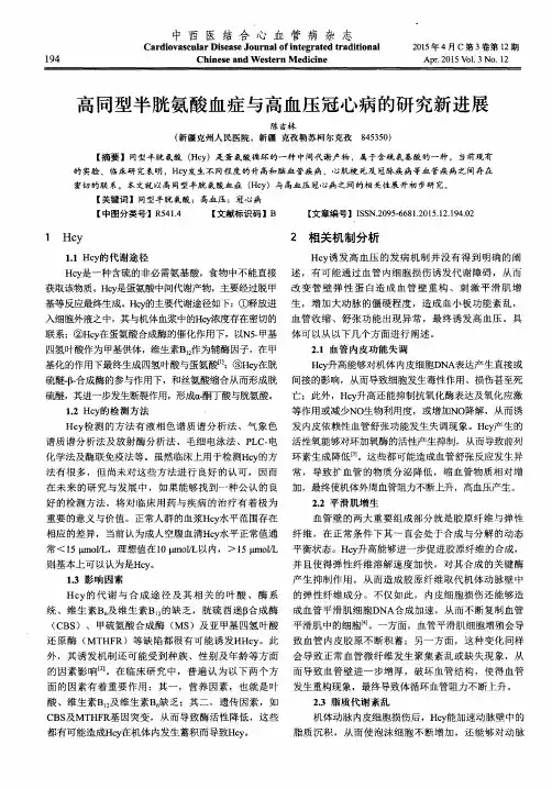 高同型半胱氨酸血症与高血压冠心病的研究新进展