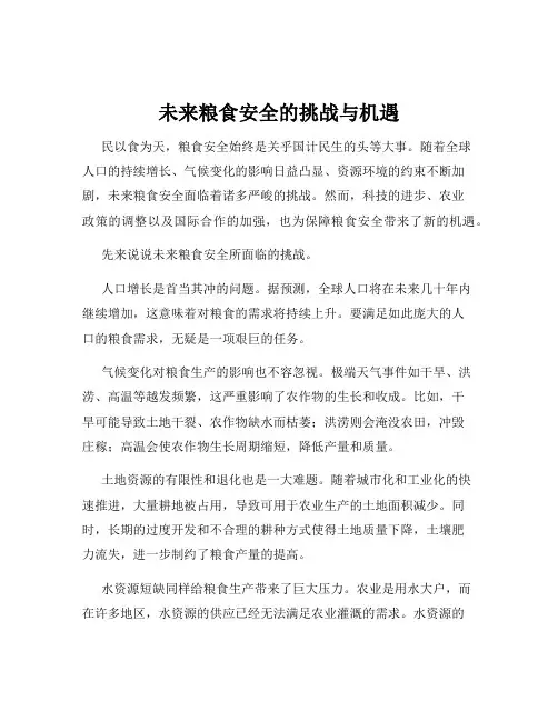 未来粮食安全的挑战与机遇
