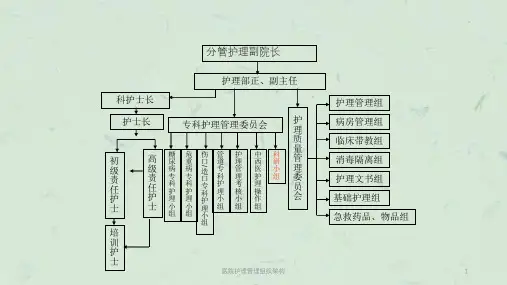 医院护理管理组织架构课件