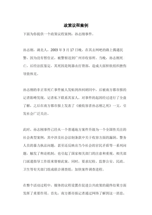 政策议程案例