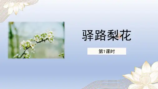 部编版七年级语文下册《驿路梨花》PPT课件