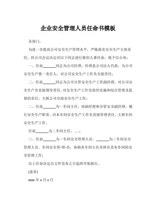企业安全管理人员任命书模板
