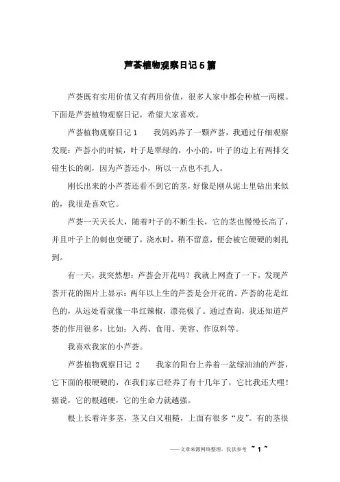 芦荟植物观察日记5篇