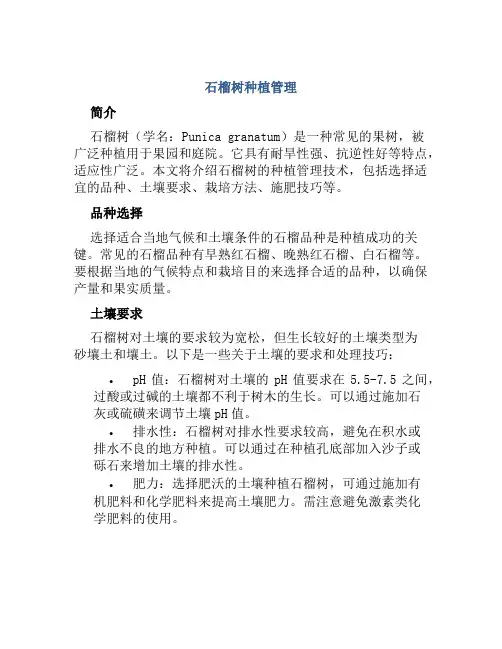 石榴树种植管理
