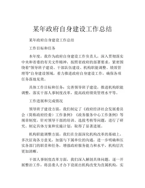 某年政府自身建设工作总结