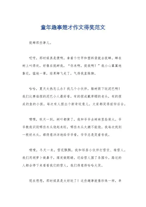 童年趣事楚才作文得奖范文