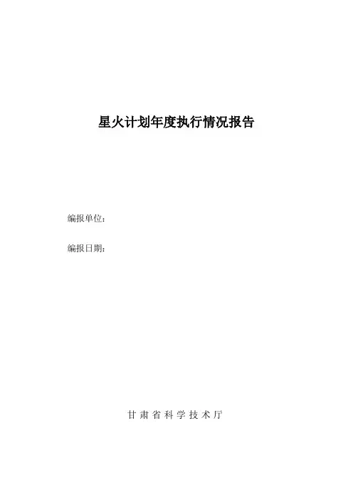 星火计划年度执行情况报告