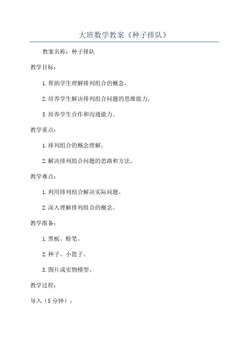大班数学教案《种子排队》