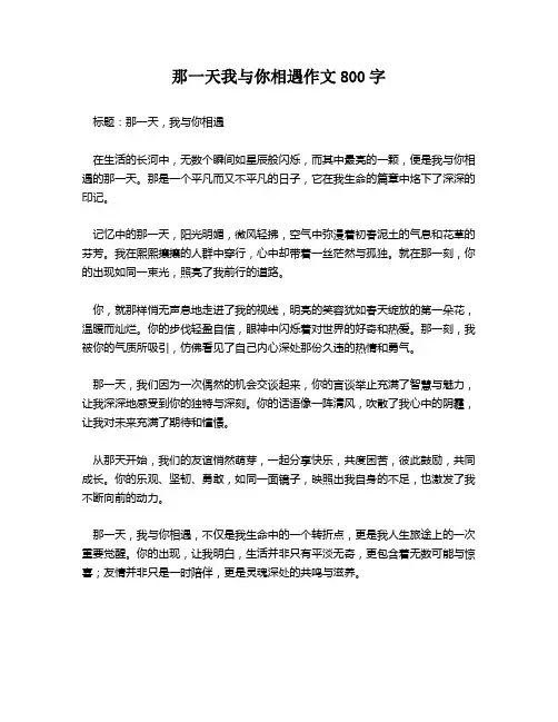 那一天我与你相遇作文800字