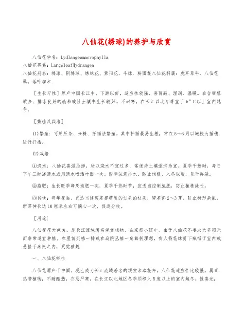 八仙花(绣球)的养护与欣赏
