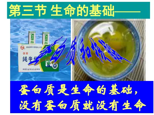 人教版选修化学第三节蛋白质和核酸教学课件