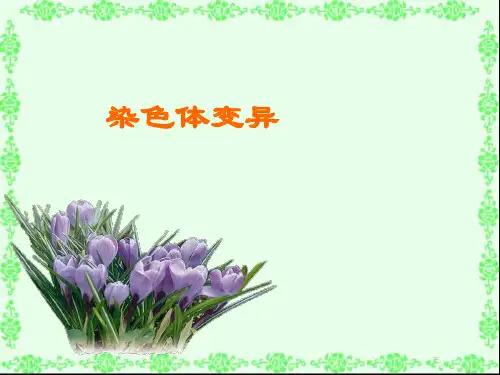 染色体变异讲课