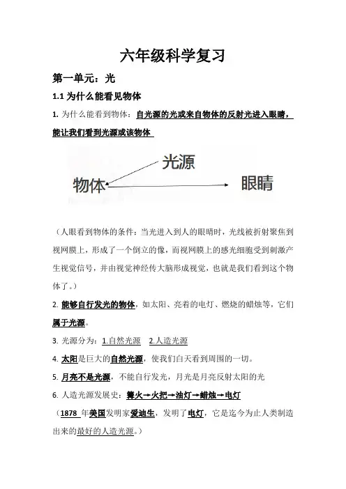 2024最新粤教粤科版六年级上册科学知识点大全总结