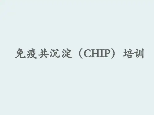 免疫共沉淀(CHIP)培训