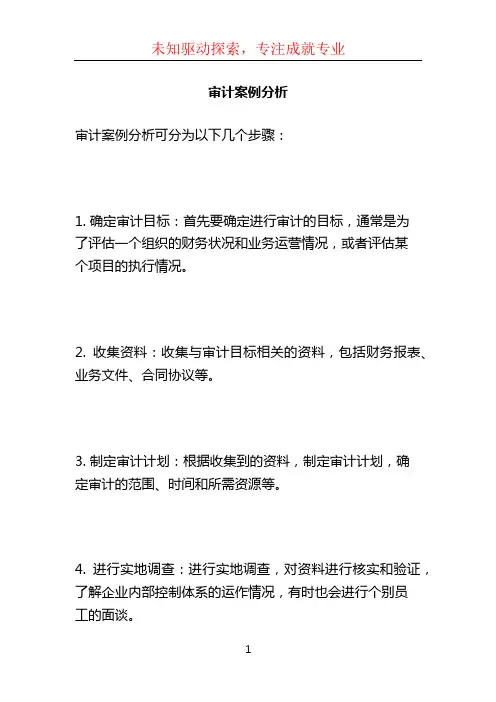 审计案例分析 (3)