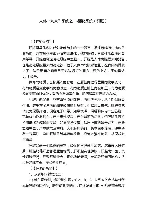 人体“九大”系统之二·消化系统（肝脏）