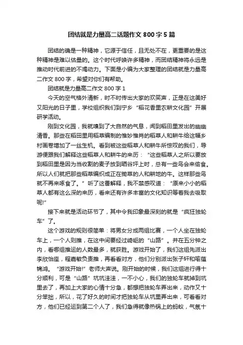 团结就是力量高二话题作文800字5篇