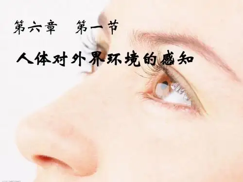 《人体对外界环境的感知》人体生命活动的调节PPT课件
