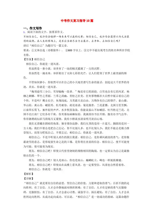 中考作文复习指导10篇
