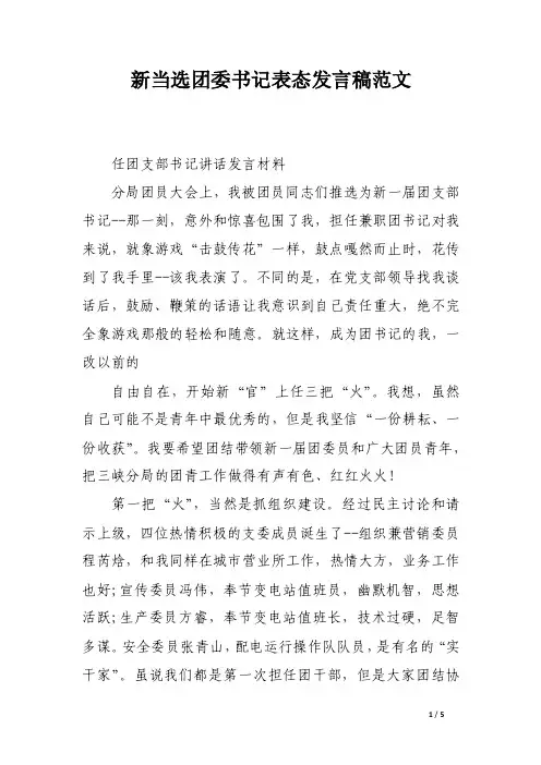 新当选团委书记表态发言稿范文