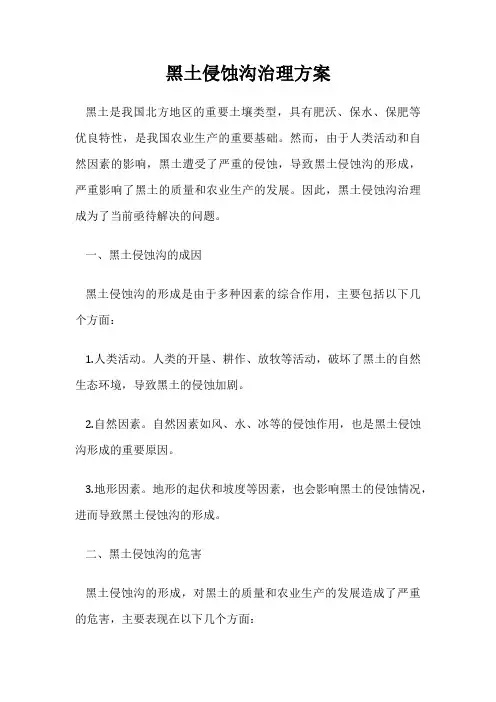 黑土侵蚀沟治理方案