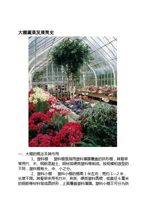 大棚蔬菜发展简史
