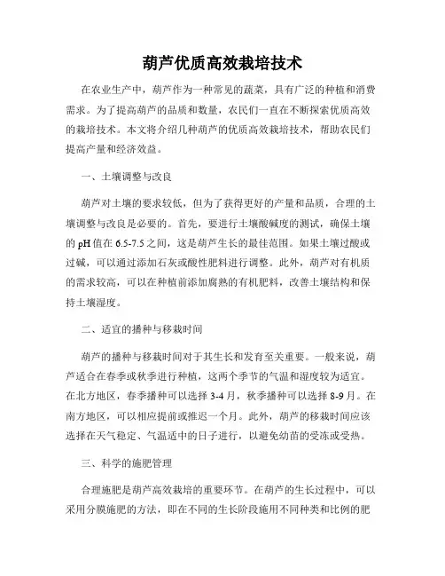 葫芦优质高效栽培技术