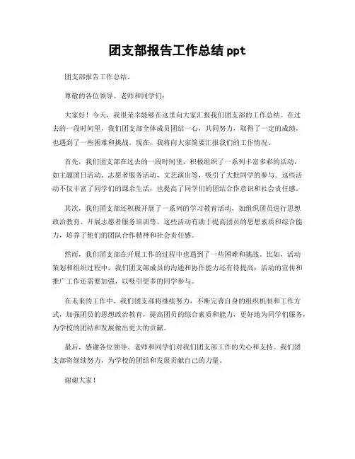 团支部报告工作总结ppt