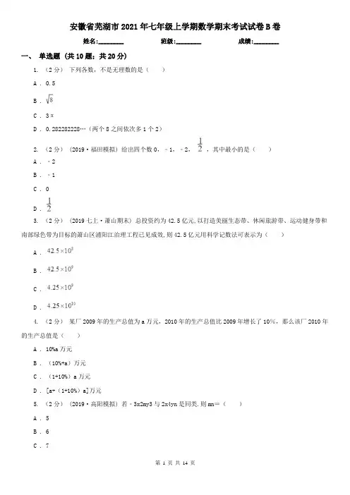安徽省芜湖市2021年七年级上学期数学期末考试试卷B卷