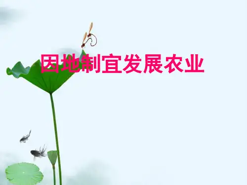 八年级地理因地制宜发展农业