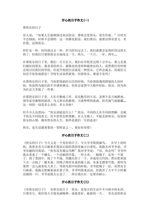 开心的日子作文