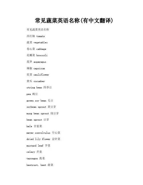 常见蔬菜英语名称有中文翻译