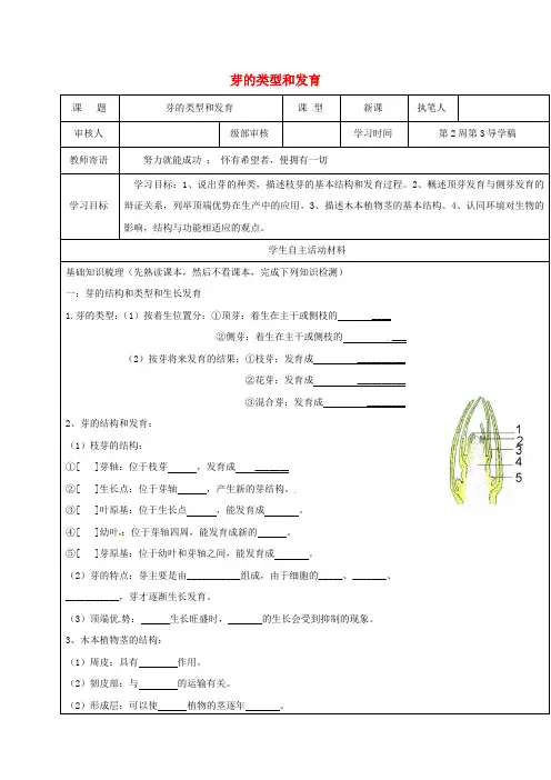 八年级生物4_1_6 芽的类型和发育学案济南版