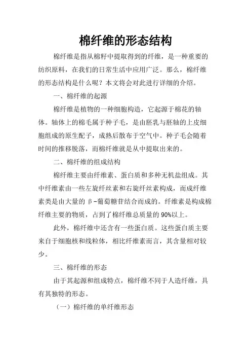 棉纤维的形态结构