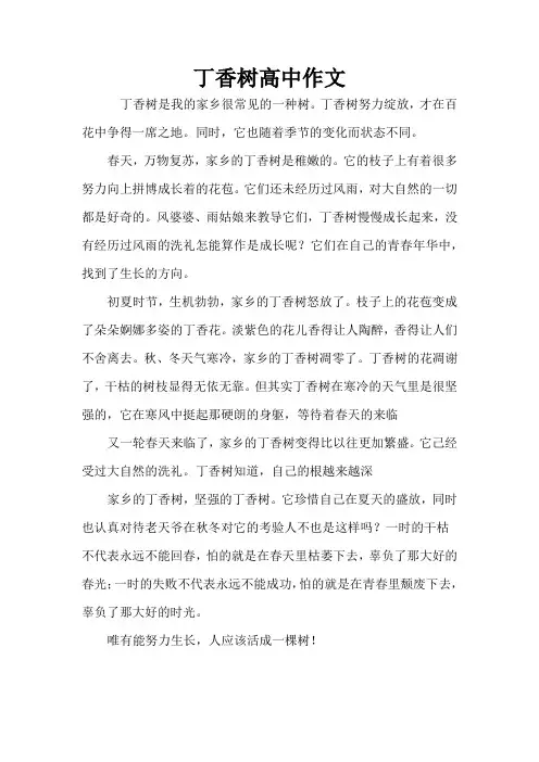 丁香树高中作文