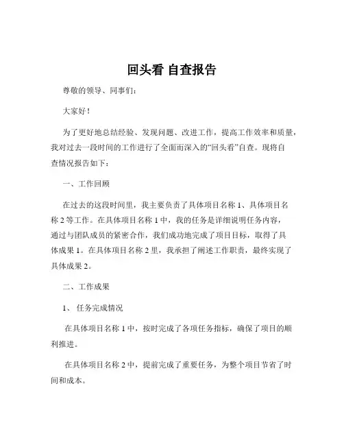 回头看 自查报告