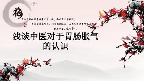 浅谈中医对于胃肠胀气的认识ppt课件
