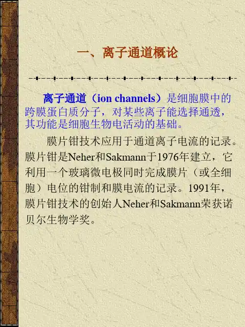 离子通道药理学 PPT课件