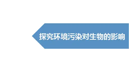 人教版七年级生物下册 探究环境污染对生物的影响 新课件新