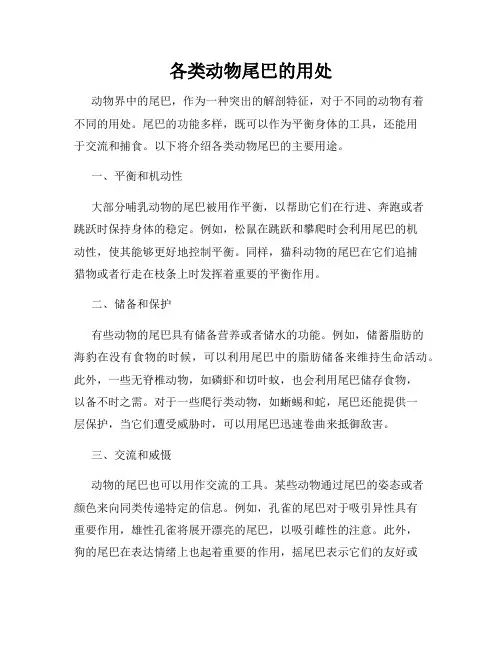 各类动物尾巴的用处